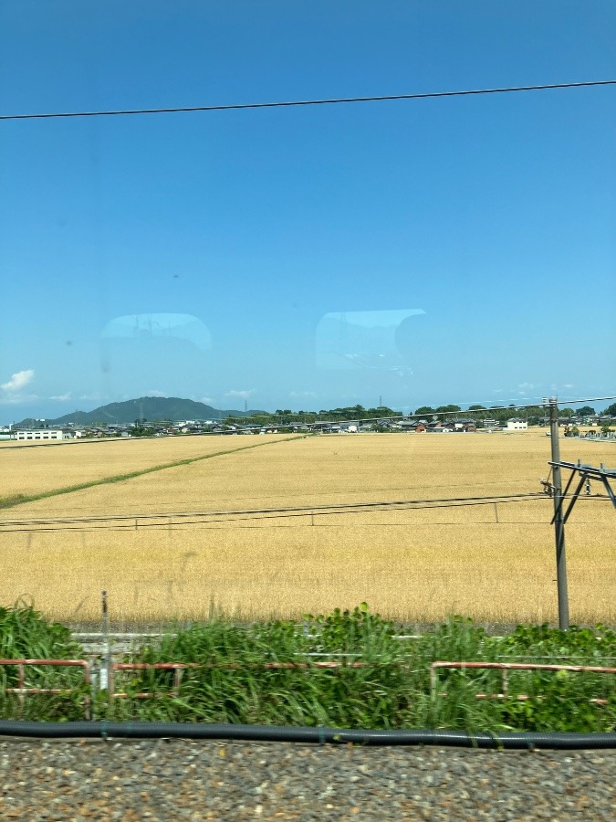滋賀県の穀倉地帯⁉️