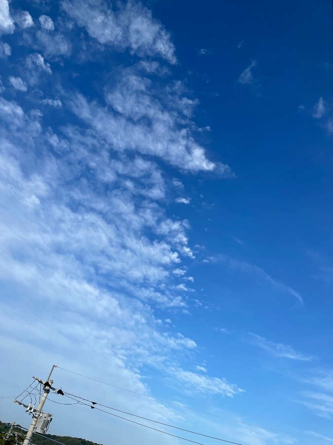 2022/6/2 朝の空