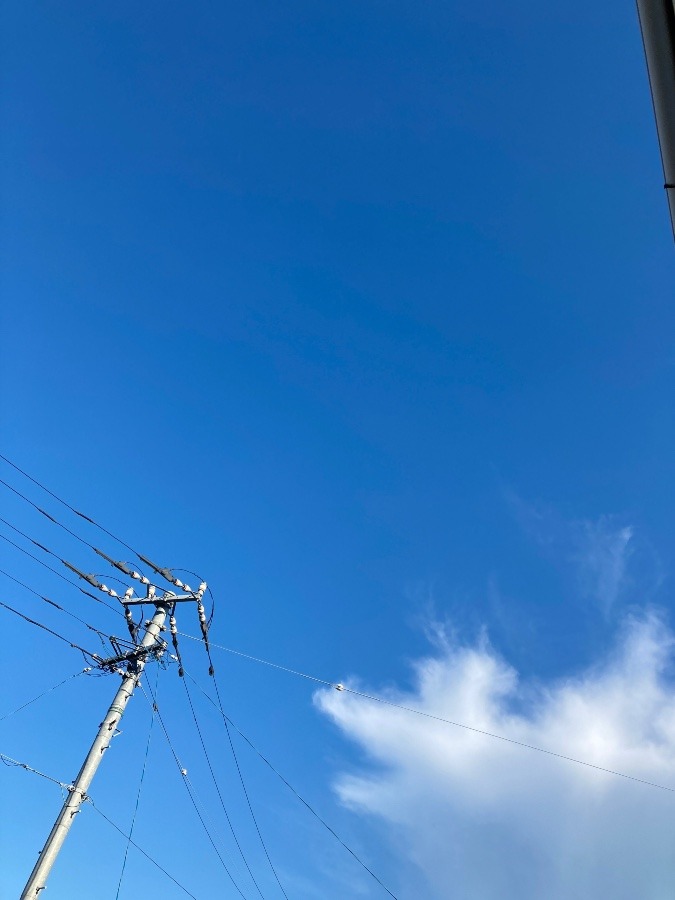 龍がやってきた🐲