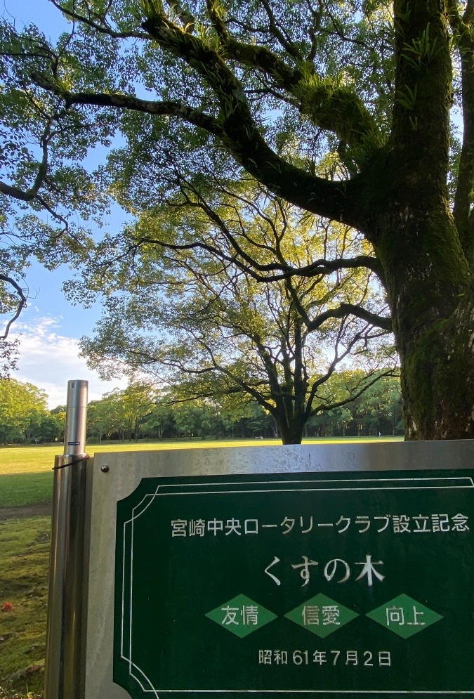 アイロニングコマーシャル