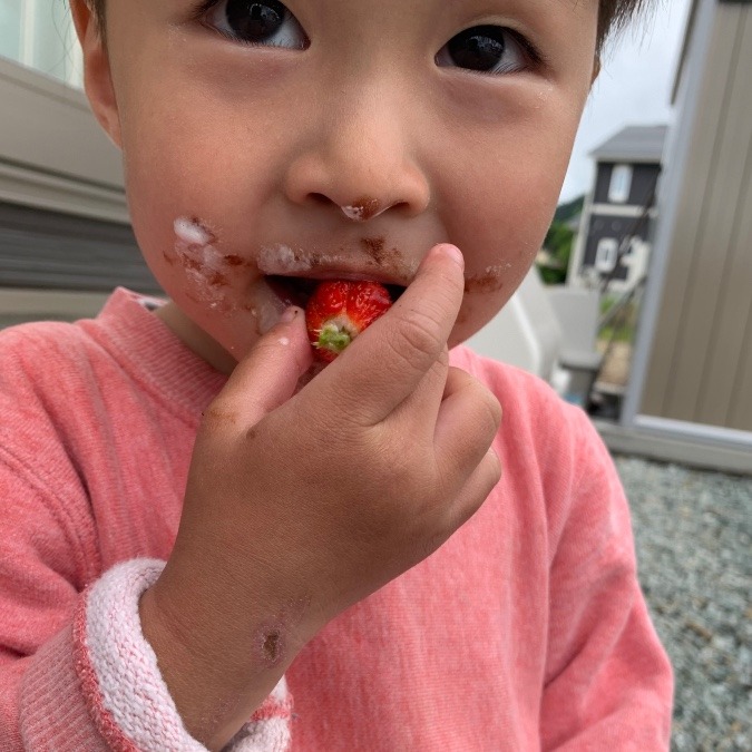 ✨いちご食べる息子✨