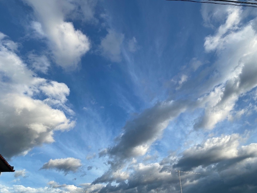 雲もくもく部