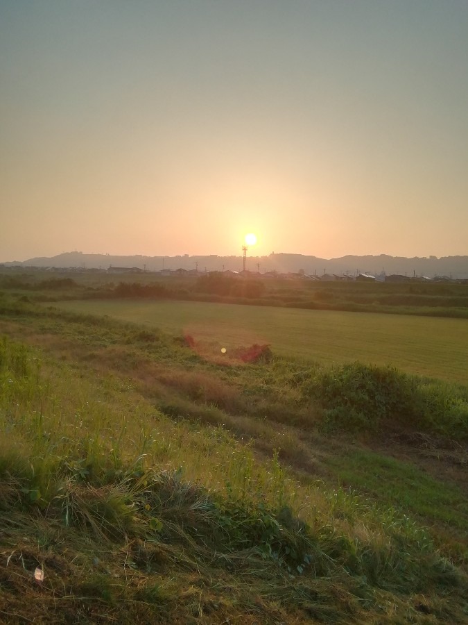 今朝の空