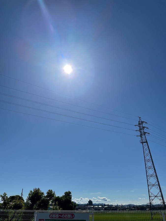 今日もいい天気❗️