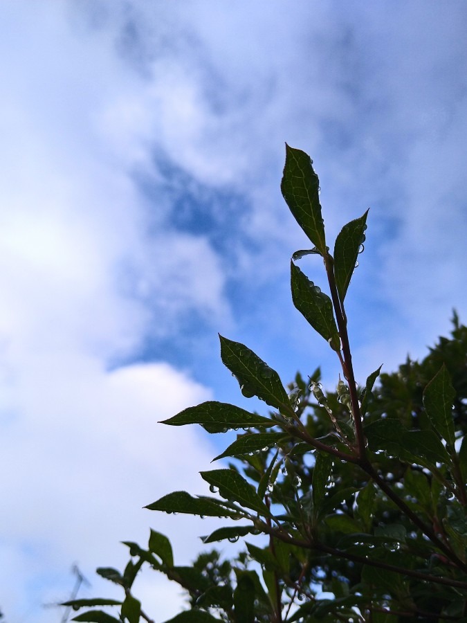 今空