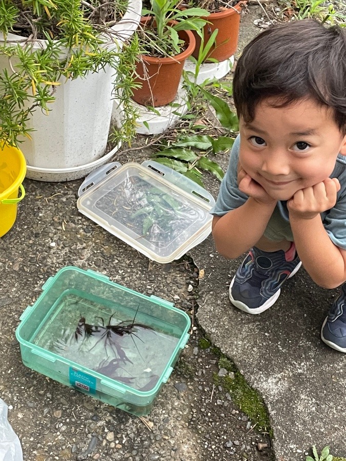 子供とザリガニ釣り🤗