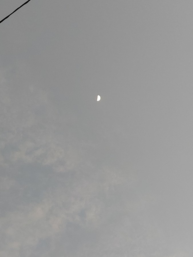 夕暮れ前の月