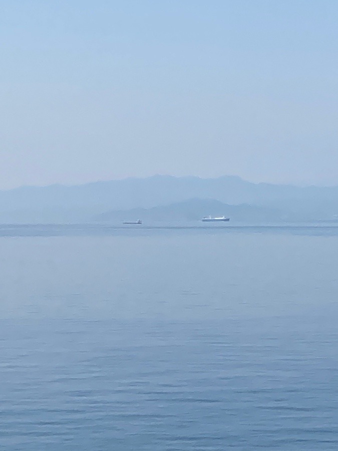 すれ違ったよ🛥