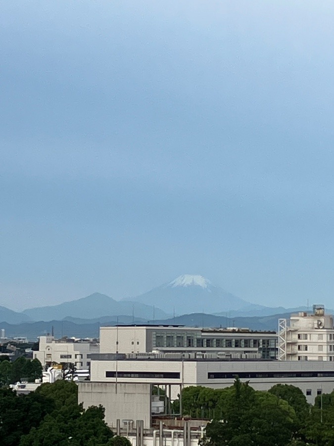 今朝の富士山