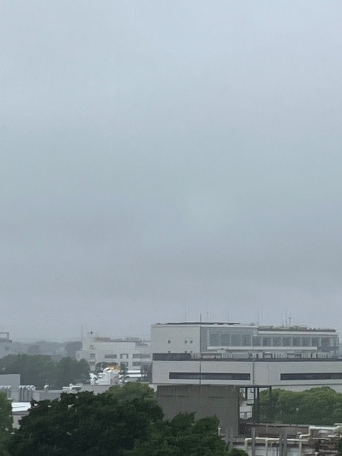 今朝の富士山