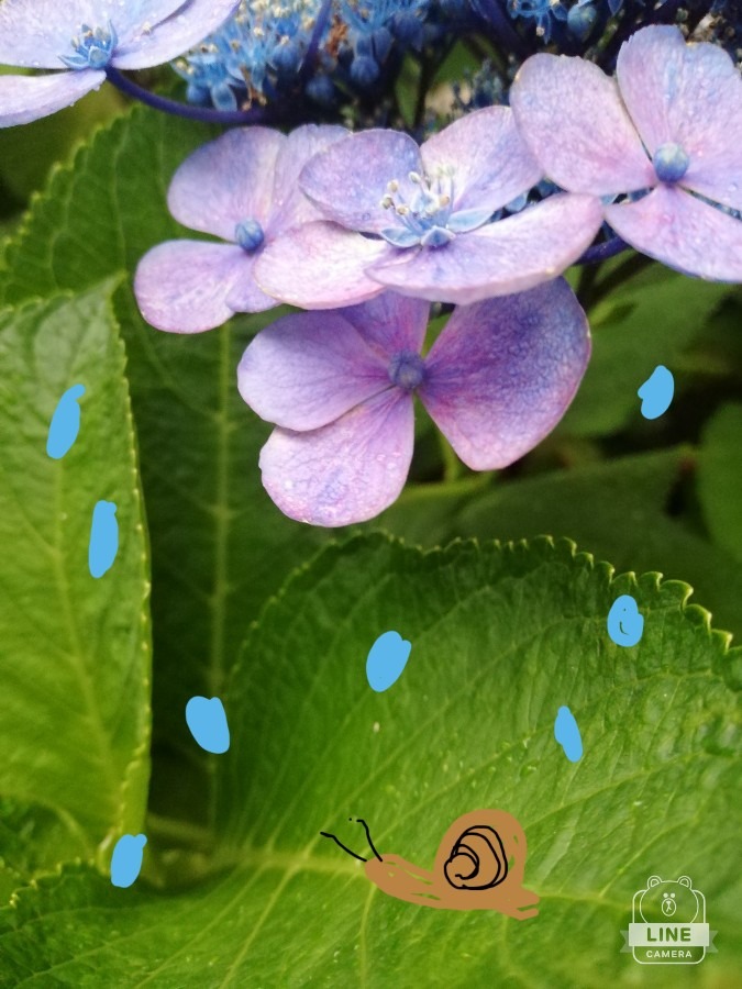 雨が降ってきた