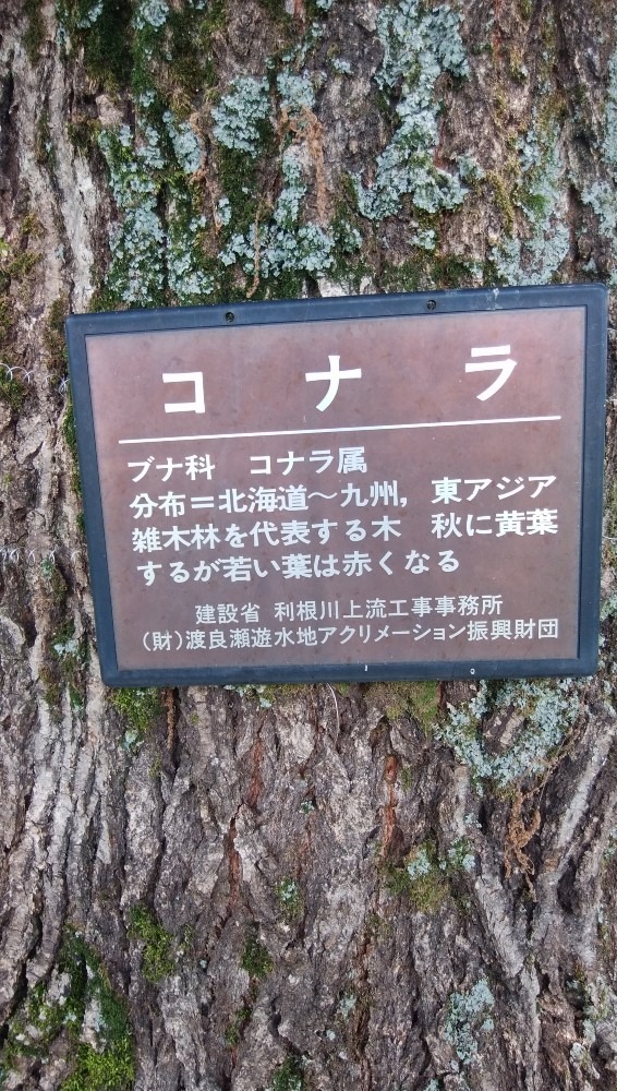 大自然！