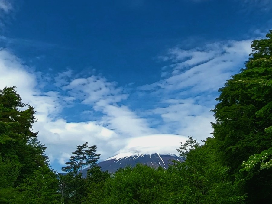 富士山🗻