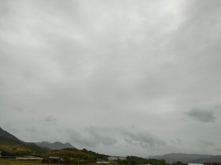 田植え前の恵みの雨☔