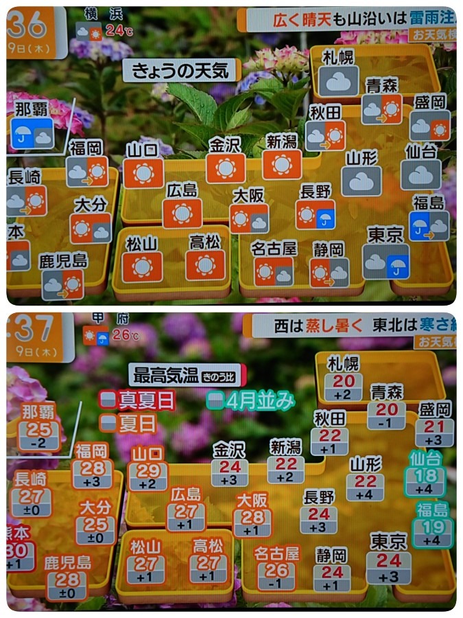今日の天気