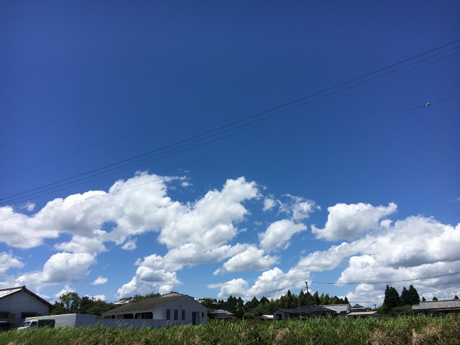 ⭕️空部→   いま空（≧∇≦）‼️59.