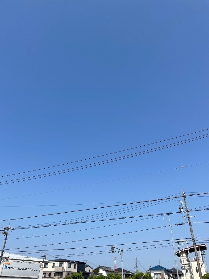 今日ので空