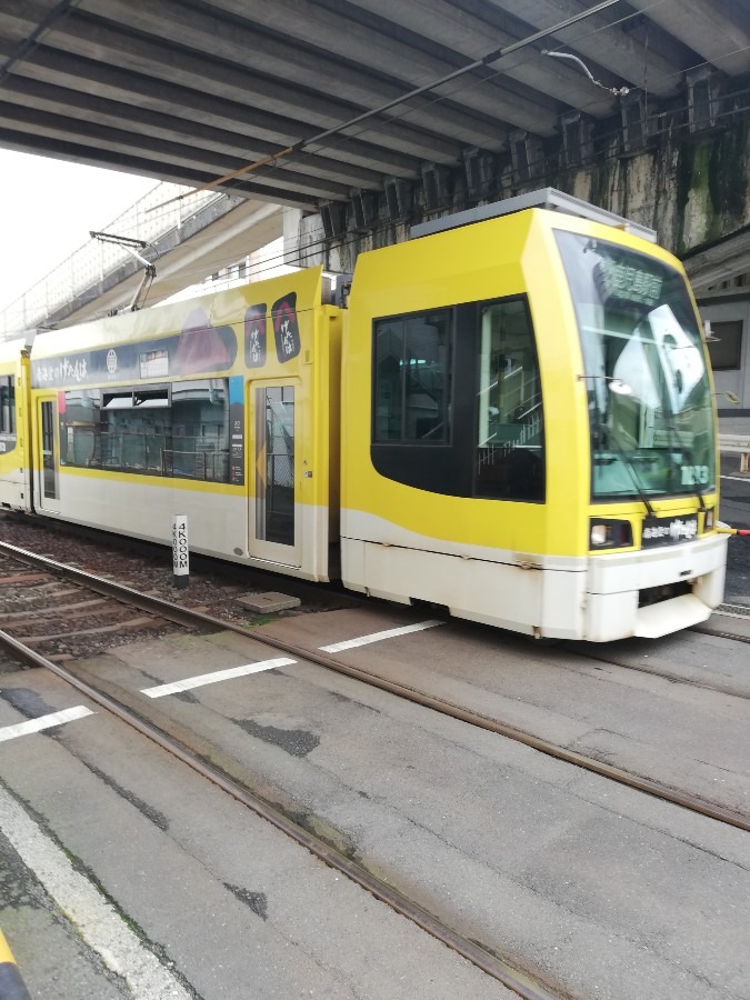 電車🚃!