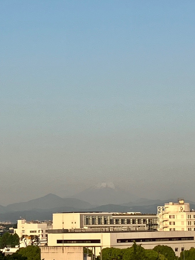 今朝の富士山