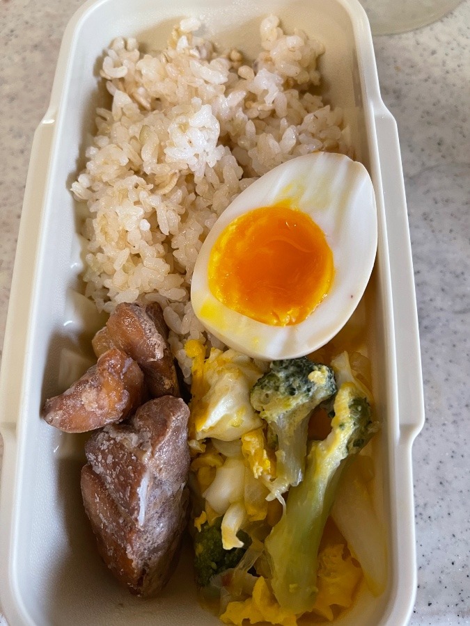 6/13 今日の弁当