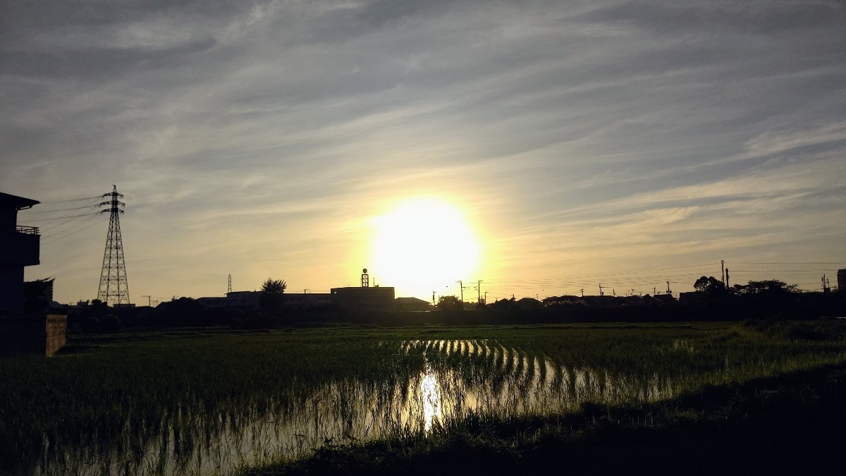 6/29 朝空☀️