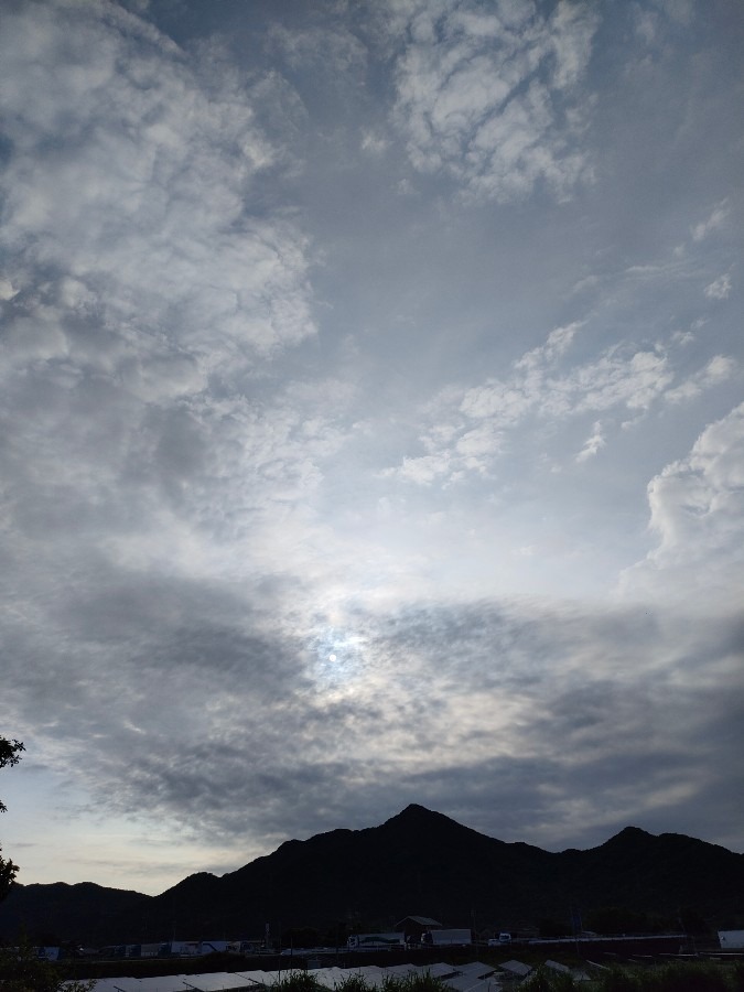 こんな朝空