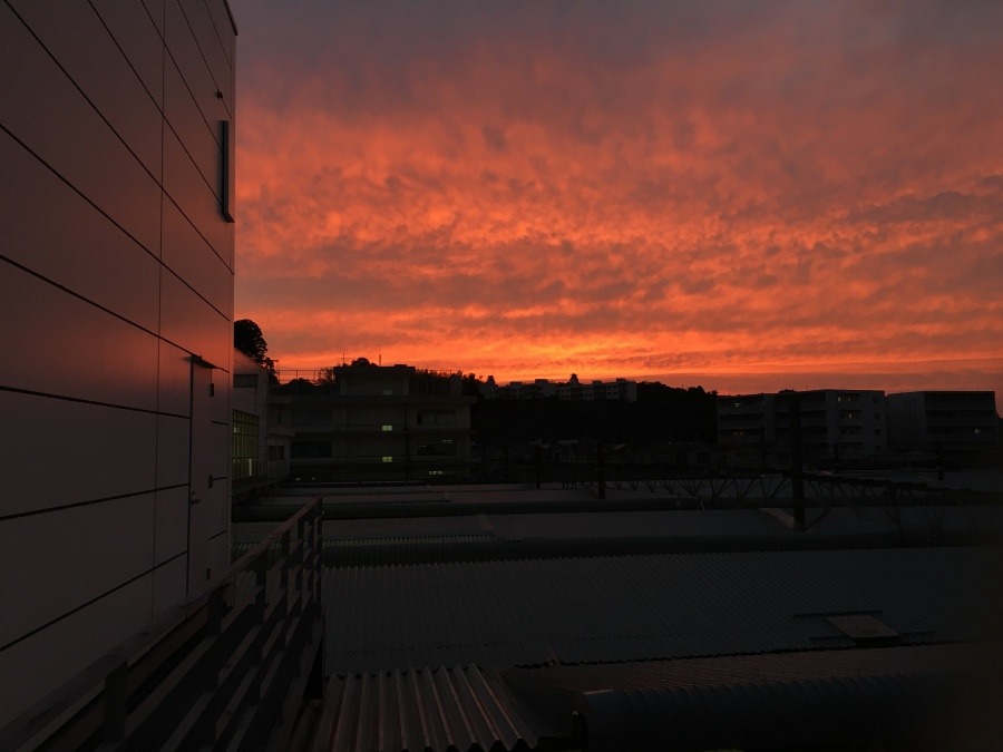 今日の夕焼け