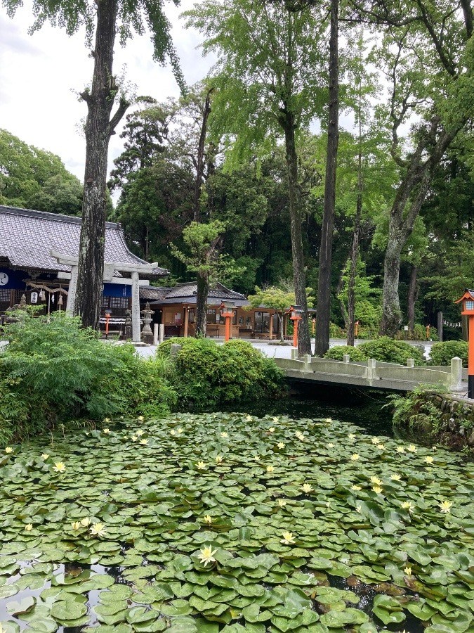 金富神社⛩