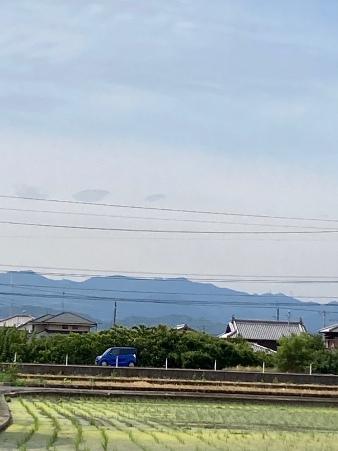 田植え