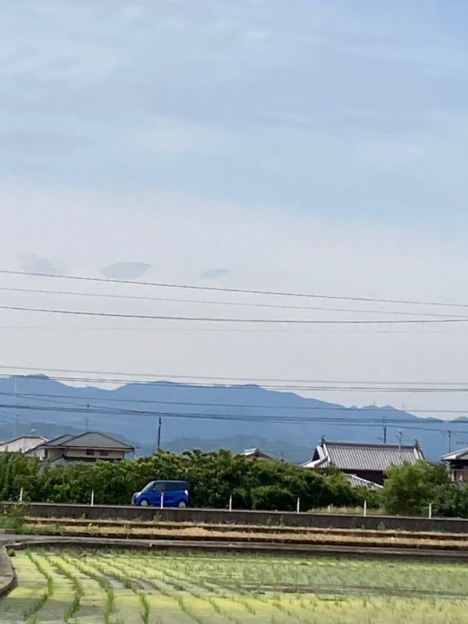 田植え