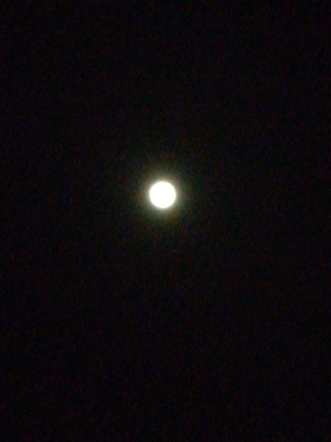 今夜のお月さま