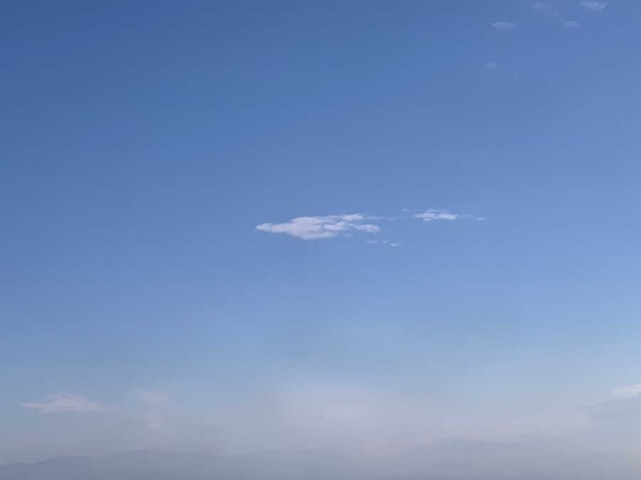飛んでる❗️
