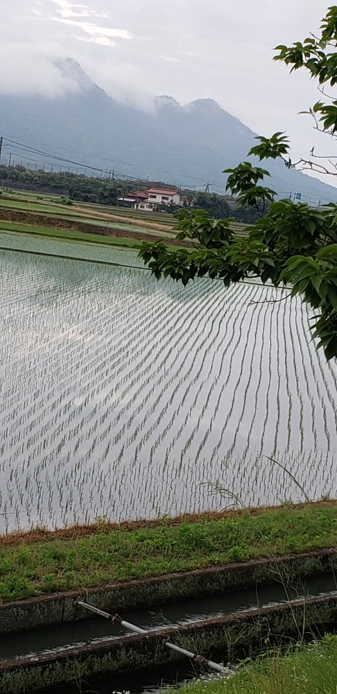 日本の風景🍚