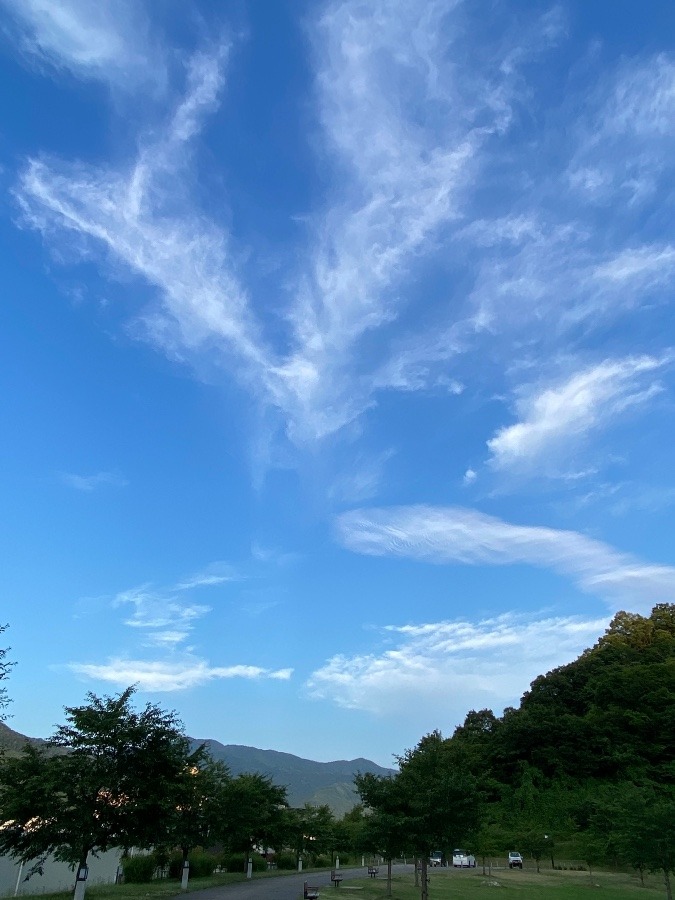 楽しい雲がいっぱい‼️✌️