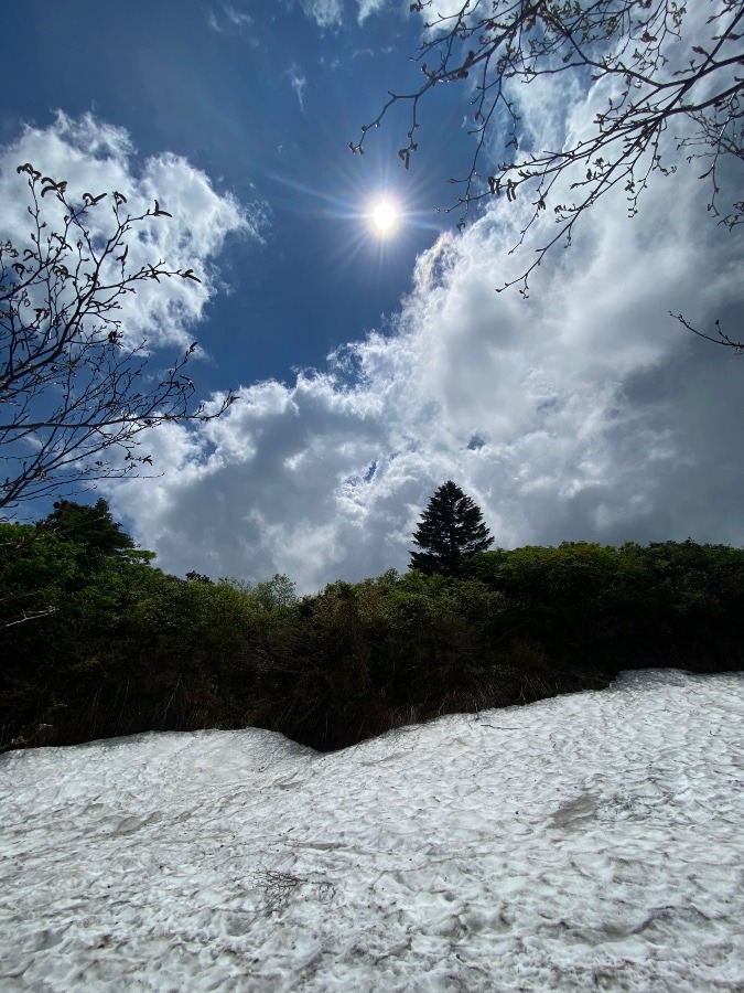 太陽☀️と雪渓❄️⑦