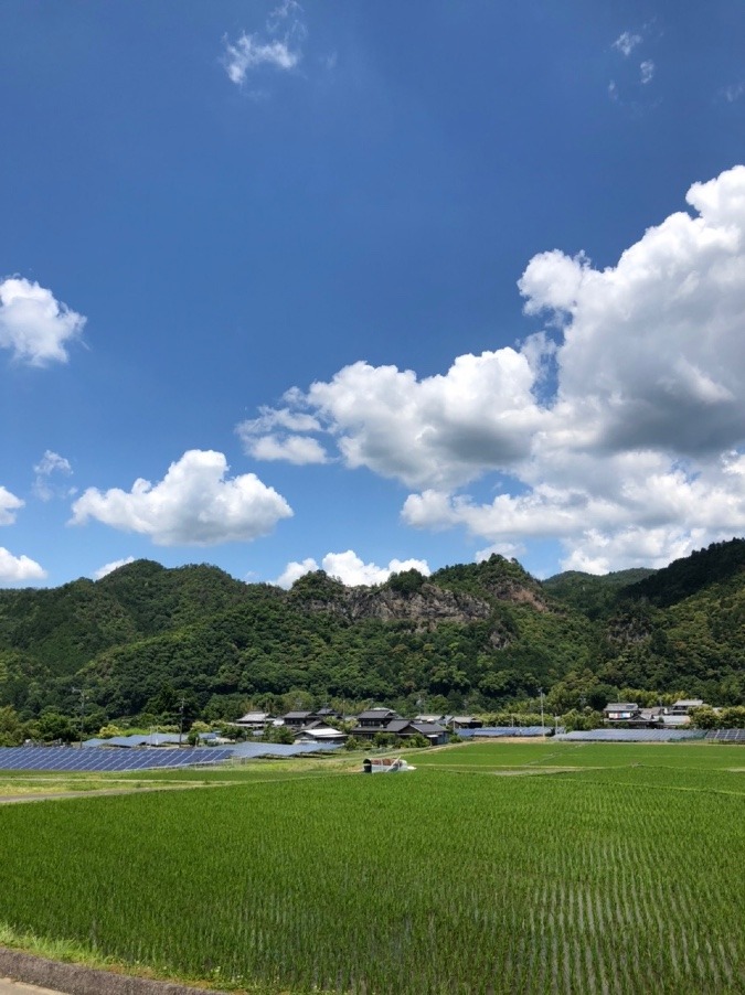 次はあの山⛰登るわよ‼️