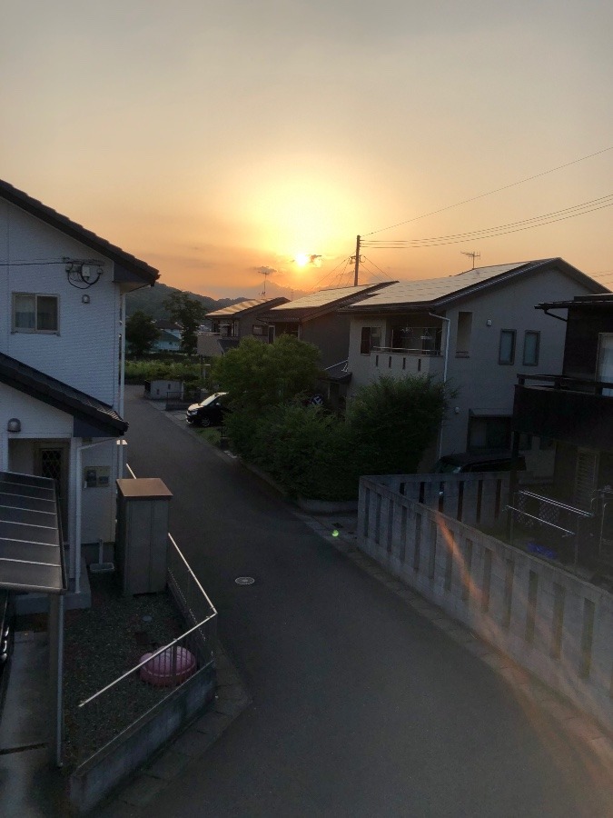 ✨夕日✨