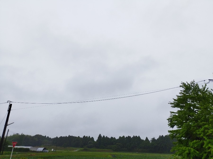 都城市（2022/6/11）雨の朝です😓❗