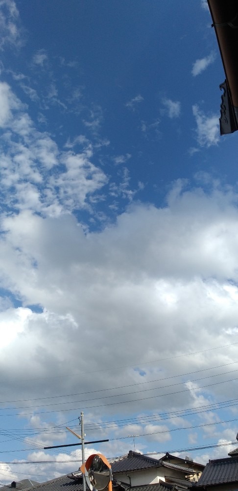 雲がはしる🏃