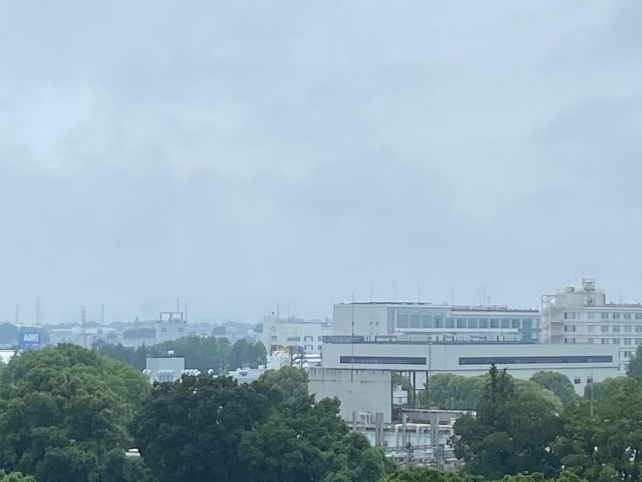 今朝の富士山