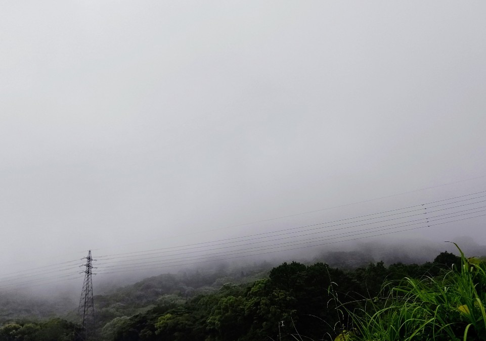 6/6朝空