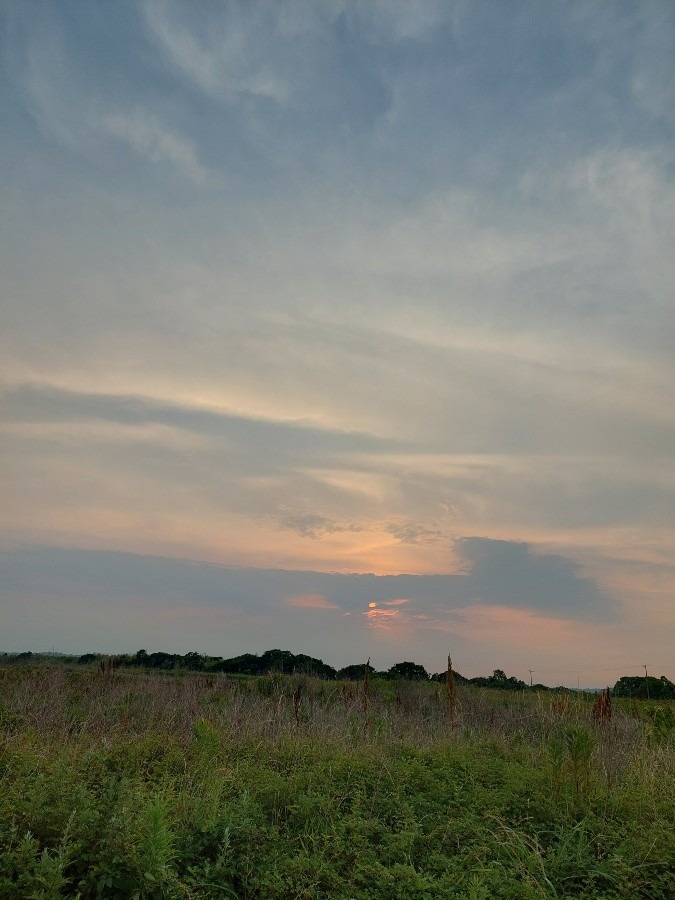 夕焼け