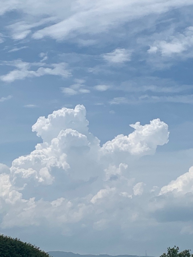 空に大きなクマさん