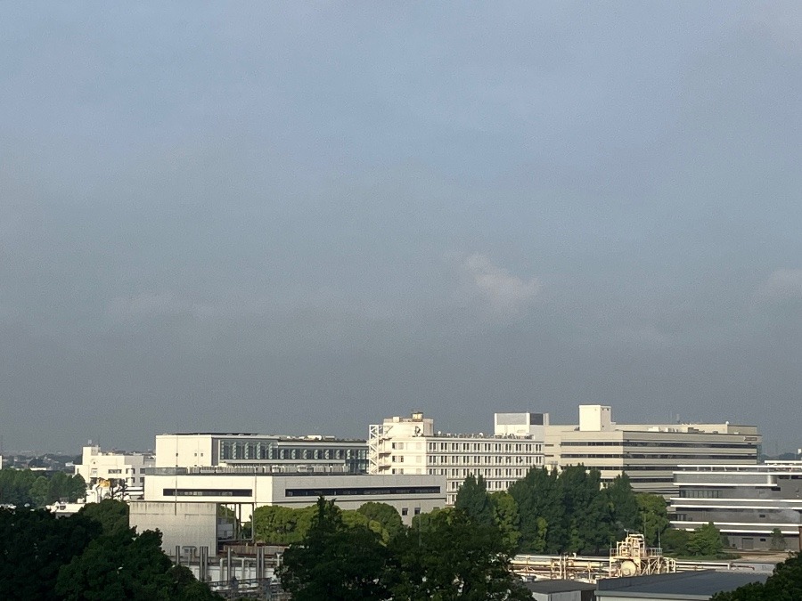 今朝の富士山