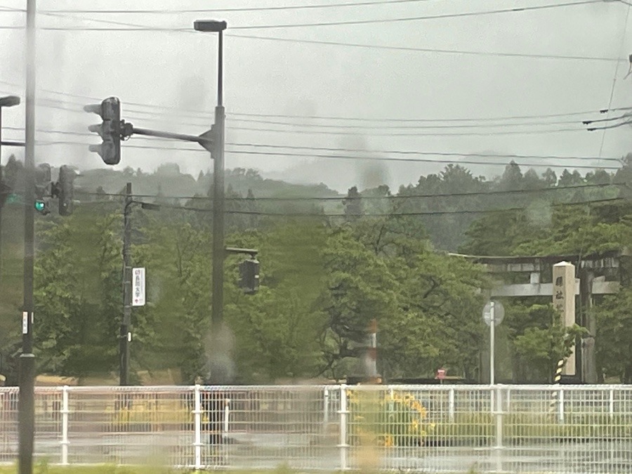 今日も雨降り☔️そろそろ梅雨入り？