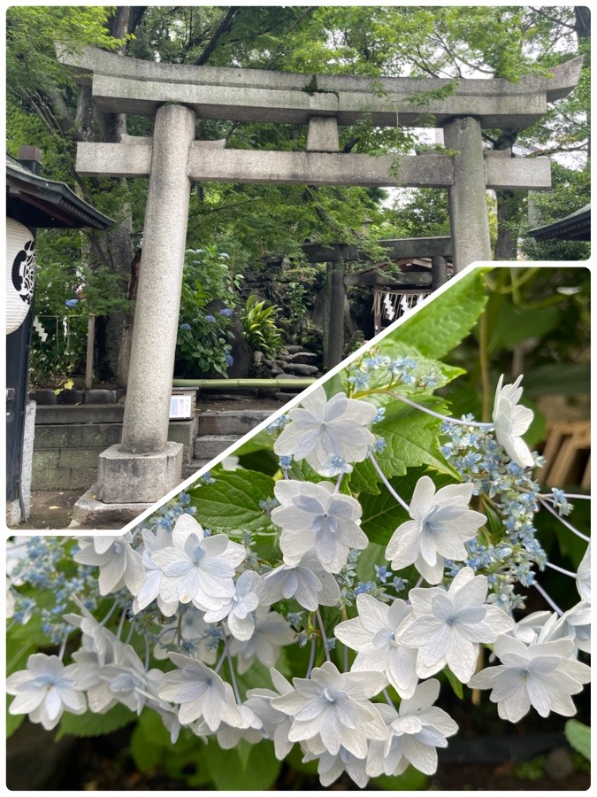 素盞雄神社　④