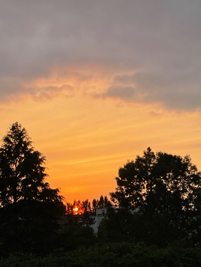 土手の夕日