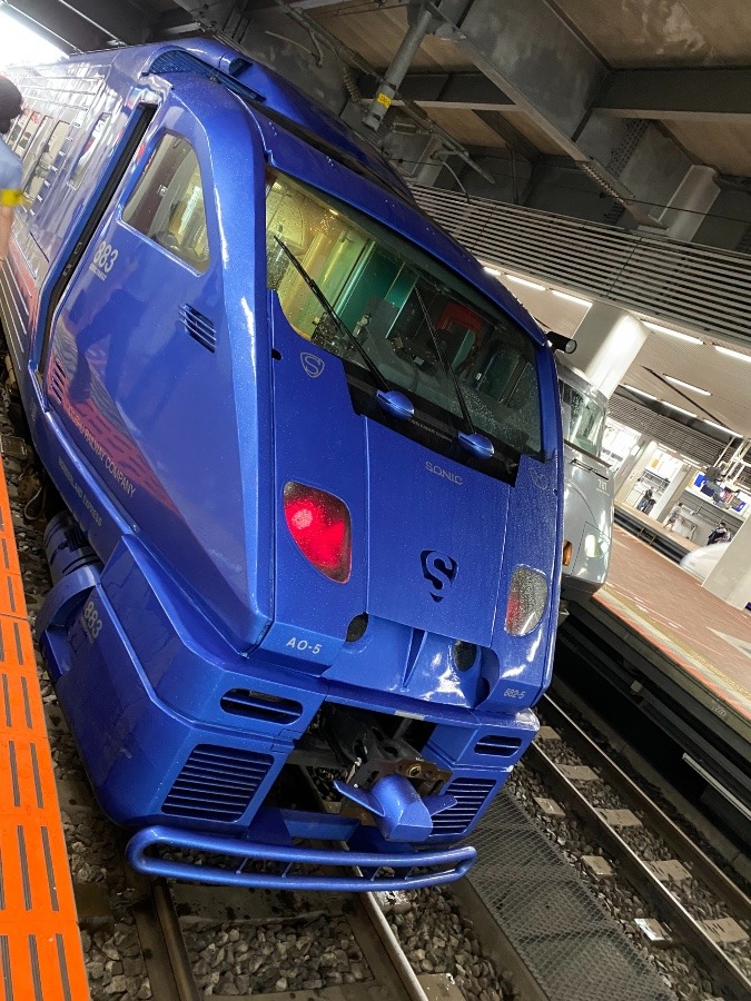 初めて見た電車❣️です