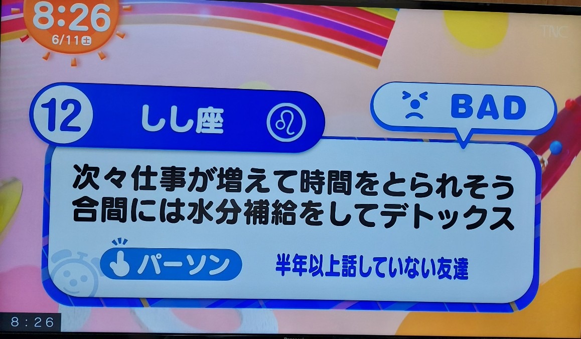 6/11今日の運勢12位しし座♌