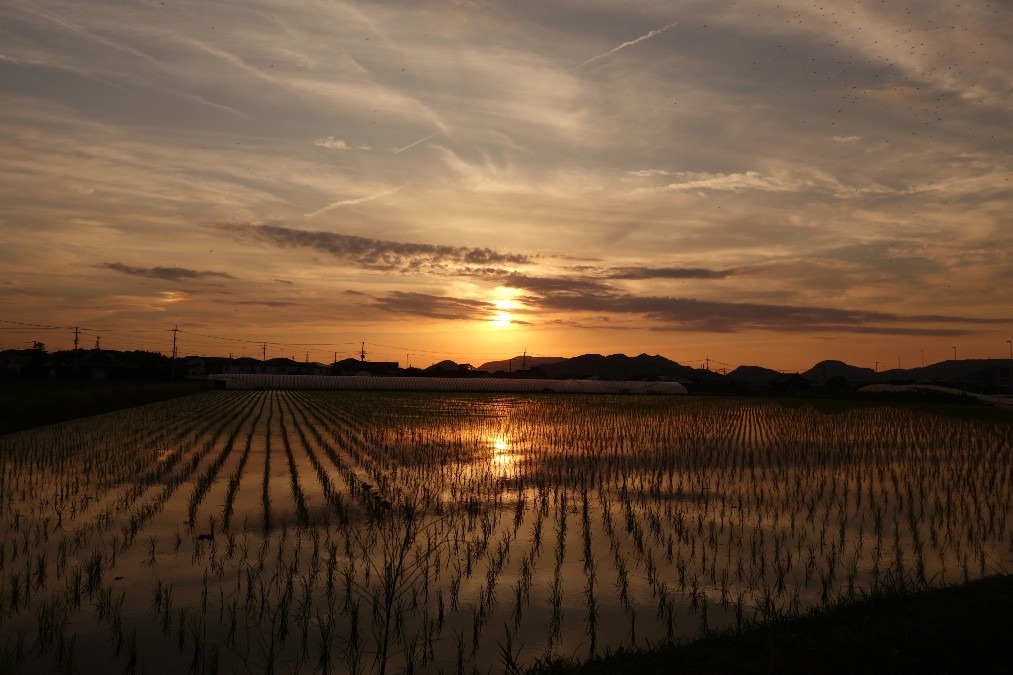 やっといい雲が撮れた